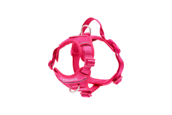 RC Pets Momentum Control Dog Harness, Azalea