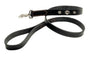 Coastal Laisse en cuir Harley-Davidson pour chiens, noire.