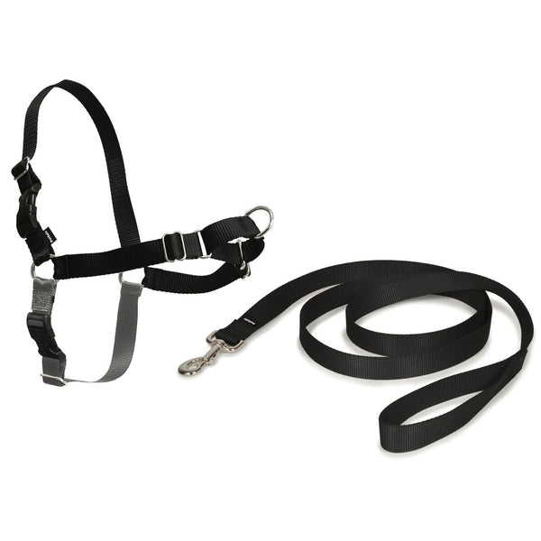 PetSafe Easy Walk Dog Harness & Lead, Black