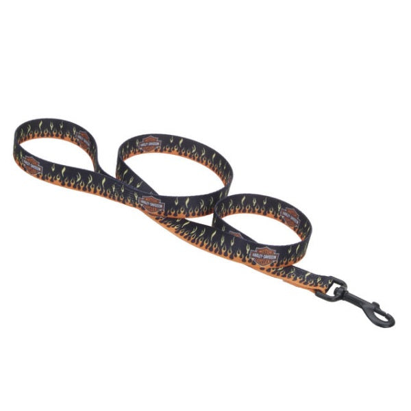 Coastal Harley-Davidson Nylon Dog Leash, Logo with Flames