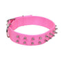 Macho Dog Collier à double épaisseur clouté avec boucle à rouleau, rose vif