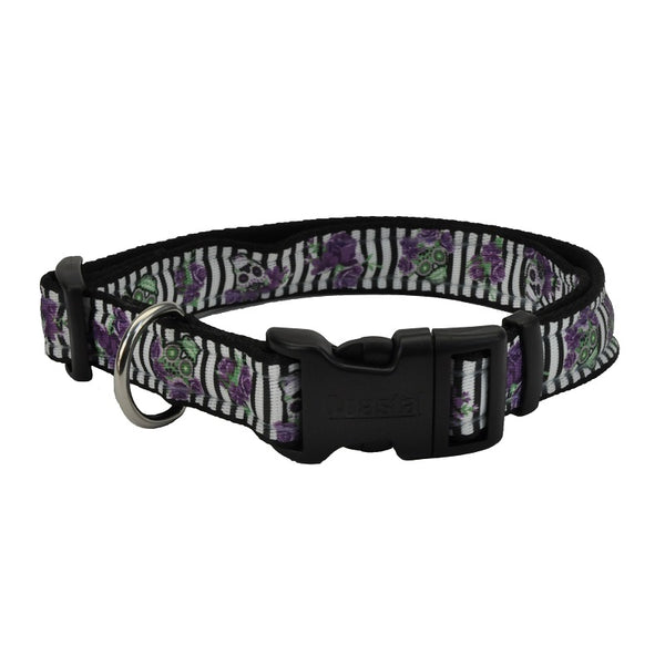 Celebration Halloween Dog Collar, Style #4