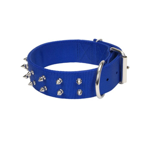 Macho Dog Double-Ply Spiked Dog Collar with Roller Buckle, Blue