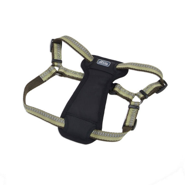 K9 Explorer Reflective Adjustable Padded Dog Harness, Fern