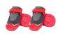 RC Pets Botte Apex, Gris foncé/Baie de goji