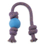 Beco Balle sur Corde Jouet pour chien, bleu, petit