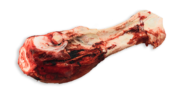 K9 Choice Foods Beef Dino Bones
