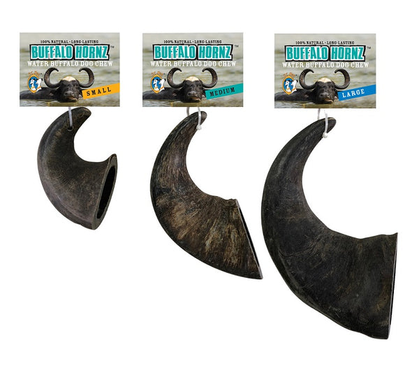 QT Dog Buffalo Hornz Water Buffalo Horn Dog Treat