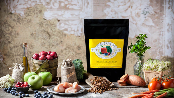 Fromm Four-Star Nutritionals Duck A La Veg Dry Cat Food