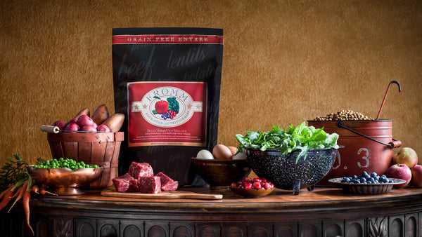Fromm Four-Star Nutritionals Beef Frittata Veg Dry Dog Food