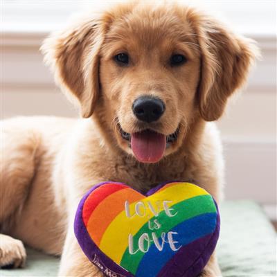 Huxley & Kent Heart Dog Toy, Pride