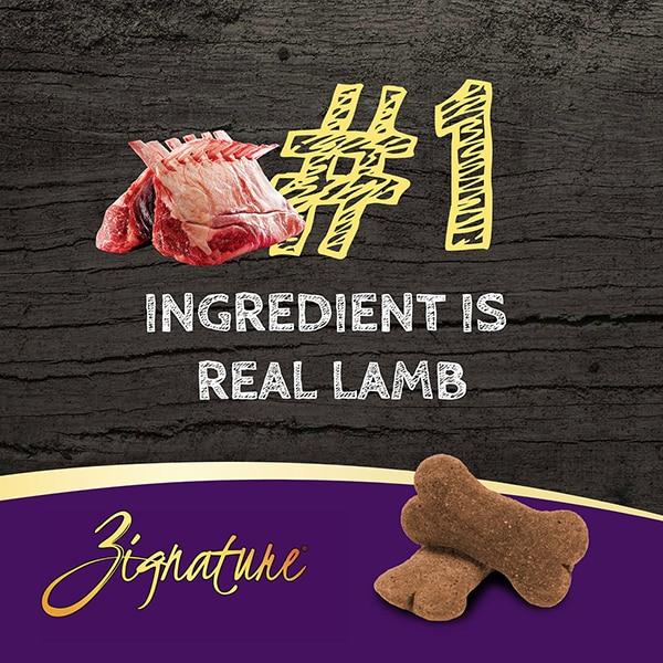 Zignature Lamb Formula Crunchy Dog Treats, 12-oz