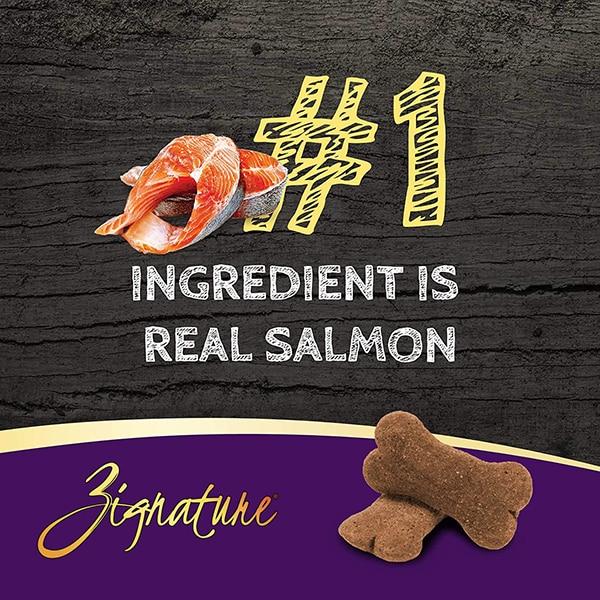 Zignature Salmon Formula Ziggy Bars Friandises pour chien 12 oz