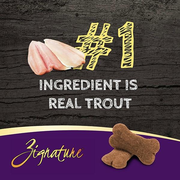 Zignature Trout Formula Crunchy Dog Treats, 12-oz