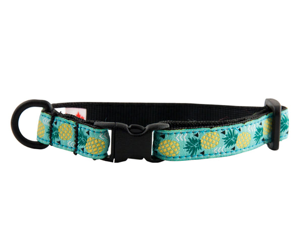 RC Pets Collier sécuritaire pour chats, Parade d'ananas, 8-10-in