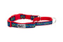 RC Pets Easy Clip Web Training Dog Collar, Feeling Folksy