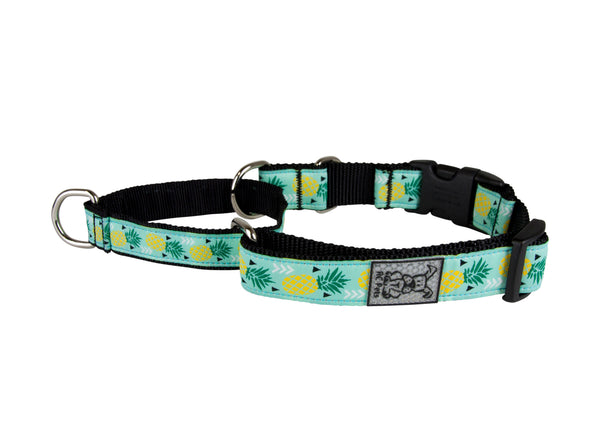 RC Pets Easy Clip Web Training Dog Collar, Pineapple Parade