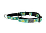RC Pets Easy Clip Web Training Dog Collar, Pineapple Parade