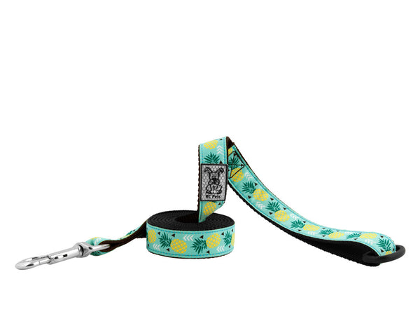 RC Pets Laisse de à motifs, Parade d'ananas
