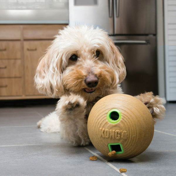 KONG Bambo Feeder Ball Treat Dispensing Dog Toy