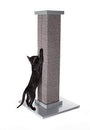 Pioneer Pet SmartCat Le grattoir ultime pour chats, Gris