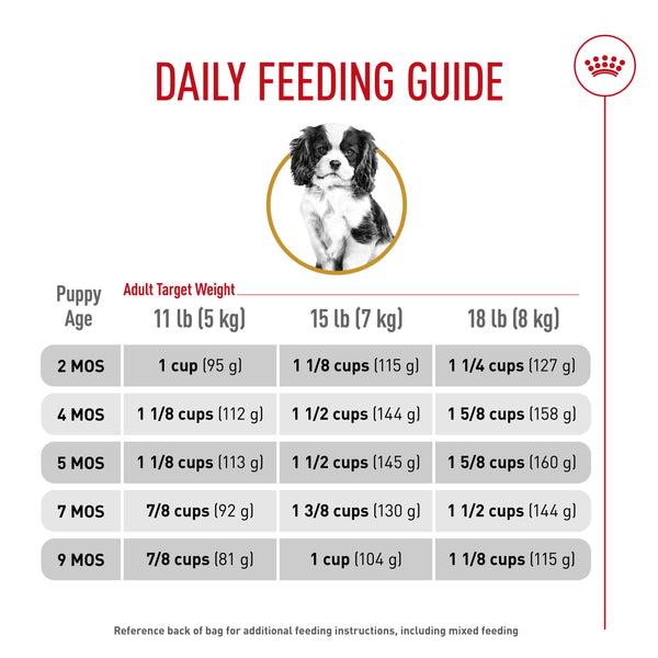 Royal Canin Breed Health Nutrition Cavalier King Charles Puppy Dry Dog Food, 3-lb