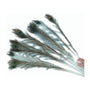 Imperial Cat Peacock Feather Cat Toy