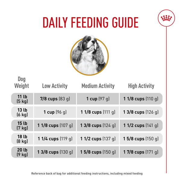 Royal Canin Breed Health Nutrition Cavalier King Charles Adult Dry Dog Food