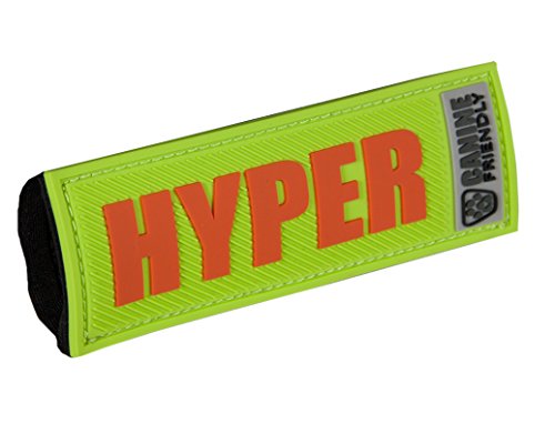 RC Pets Bark Notes Patch pour collier de chien, Hyperactif