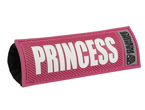RC Pets Bark Notes Dog Collar Patch, Princess