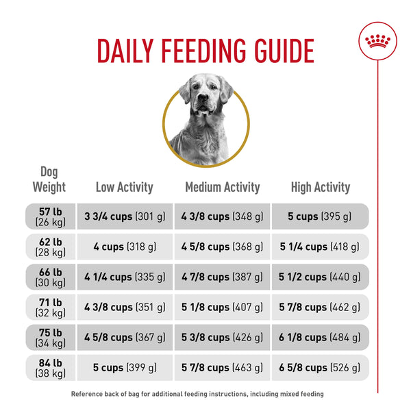 Royal Canin Breed Health Nutrition Golden Retriever Adult Dry Dog Food
