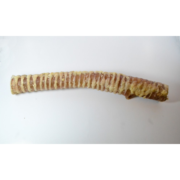 Home Range/Open Range Beef Trachea Bully Stick Dog Treats, 12-in