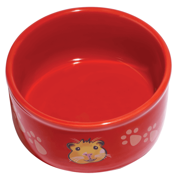 Kaytee Guinea Pig & Paw-Print PetWare Small Animal Bowl, Colors Varies
