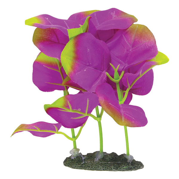 Marina Naturals Moneywort Foreground Silk Aquarium Plant, Indigio