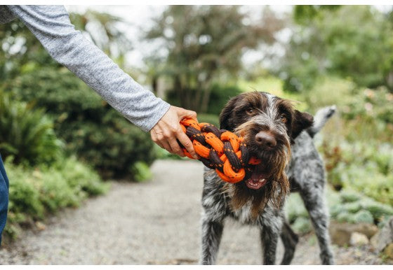 P.L.A.Y. Honeycomb Dog Rope Toy