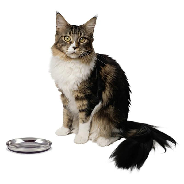 OUR PETS COMPANY Durapet Stainless Steel Deluxe Oval Cat Dish