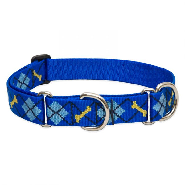 Lupine Pet Original Designs Martingale Dog Collar, Dapper Dog
