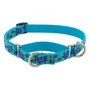 Lupine Pet Original Designs Martingale Dog Collar, Turtle Reef