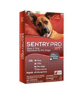 Sentry Pro XFT Antipuce et antitiques à appliquer pour chiens
