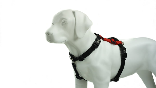 Blue-9 Balance Buckle-Neck Dog Harness, Red