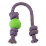 Beco Balle sur Corde Jouet pour chien, vert, grand