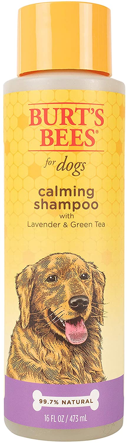 Burt's Bees Calming Dog Shampoo, 16-oz