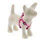 Lupine Pet Original Designs Step In Dog Harness, Puppy Love