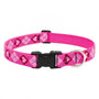 Lupine Pet Original Designs Adjustable Dog Collar, Puppy Love