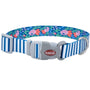Sublime Adjustable Dog Collar, Teal Stripe Flower
