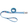 Sublime Dog Leash, Teal Stripe Flower