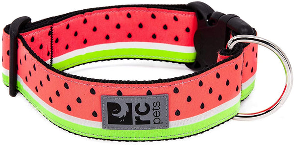 RC Pets Wide Clip Dog Collar, Watermelon