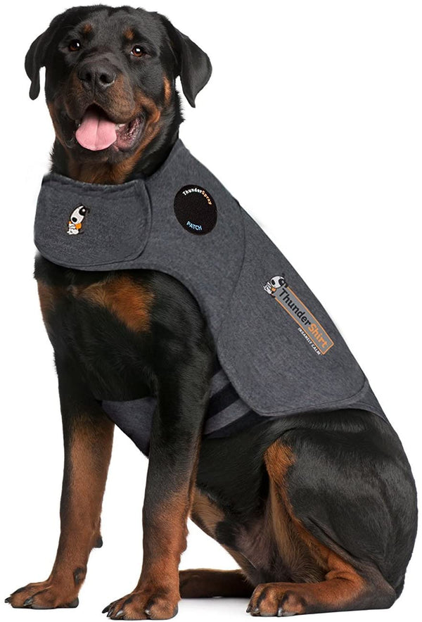 ThunderShirt Anxiety & Calming Aid for Dogs, Heather Grey