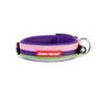 EzyDog Neo Collier, Bubble Gum