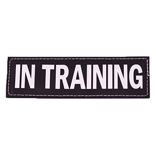 EzyDog Side Patches for Convert Harness, In training